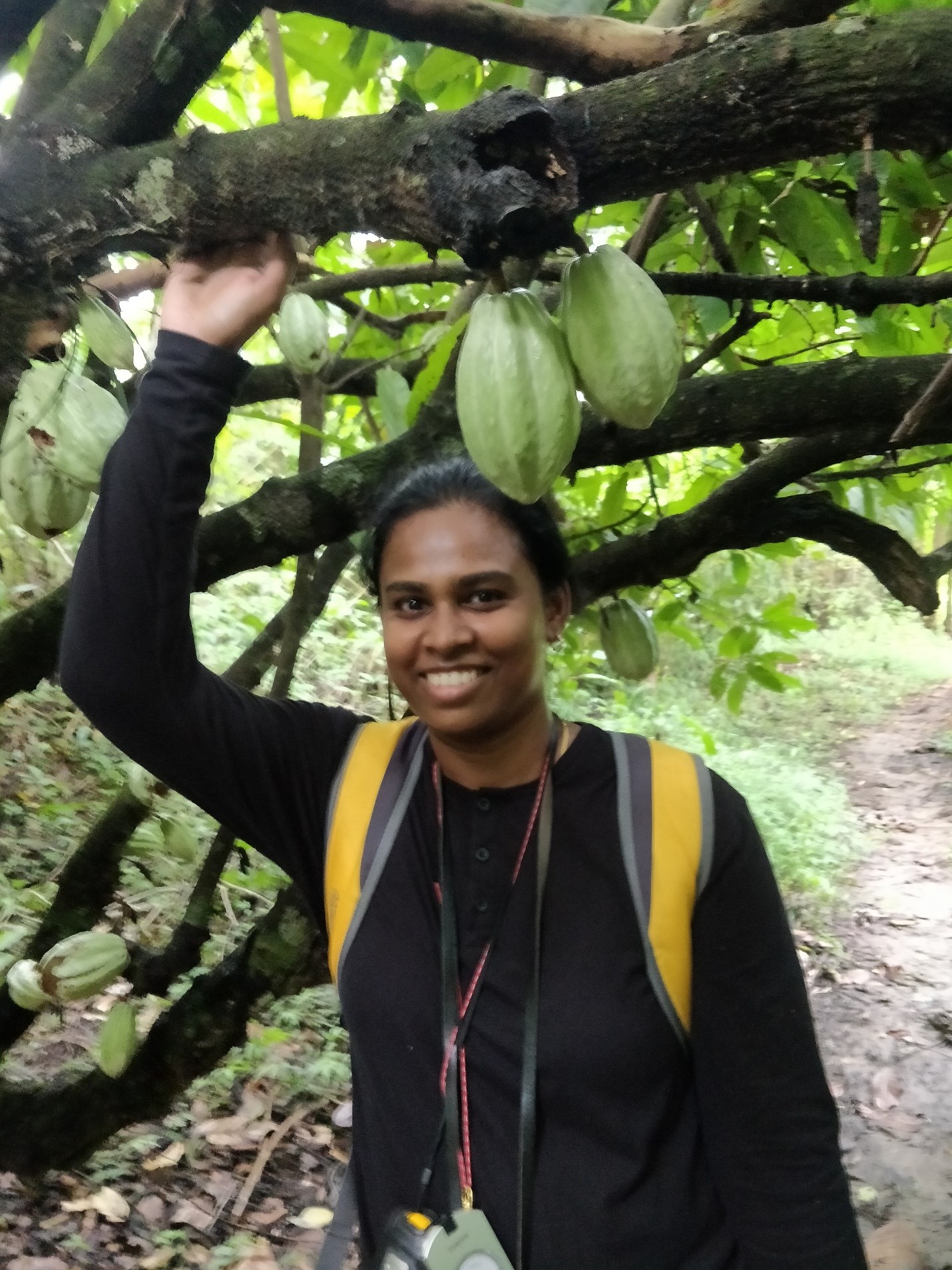 Hemalatha Velappan